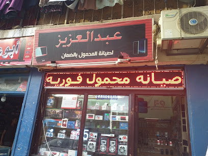 عبد العزيز ستور